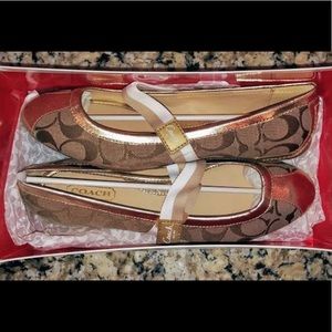 Coach Janey 7.5 Ballet Flats